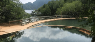Makinit Hot Springs: A Tranquil Oasis in Coron